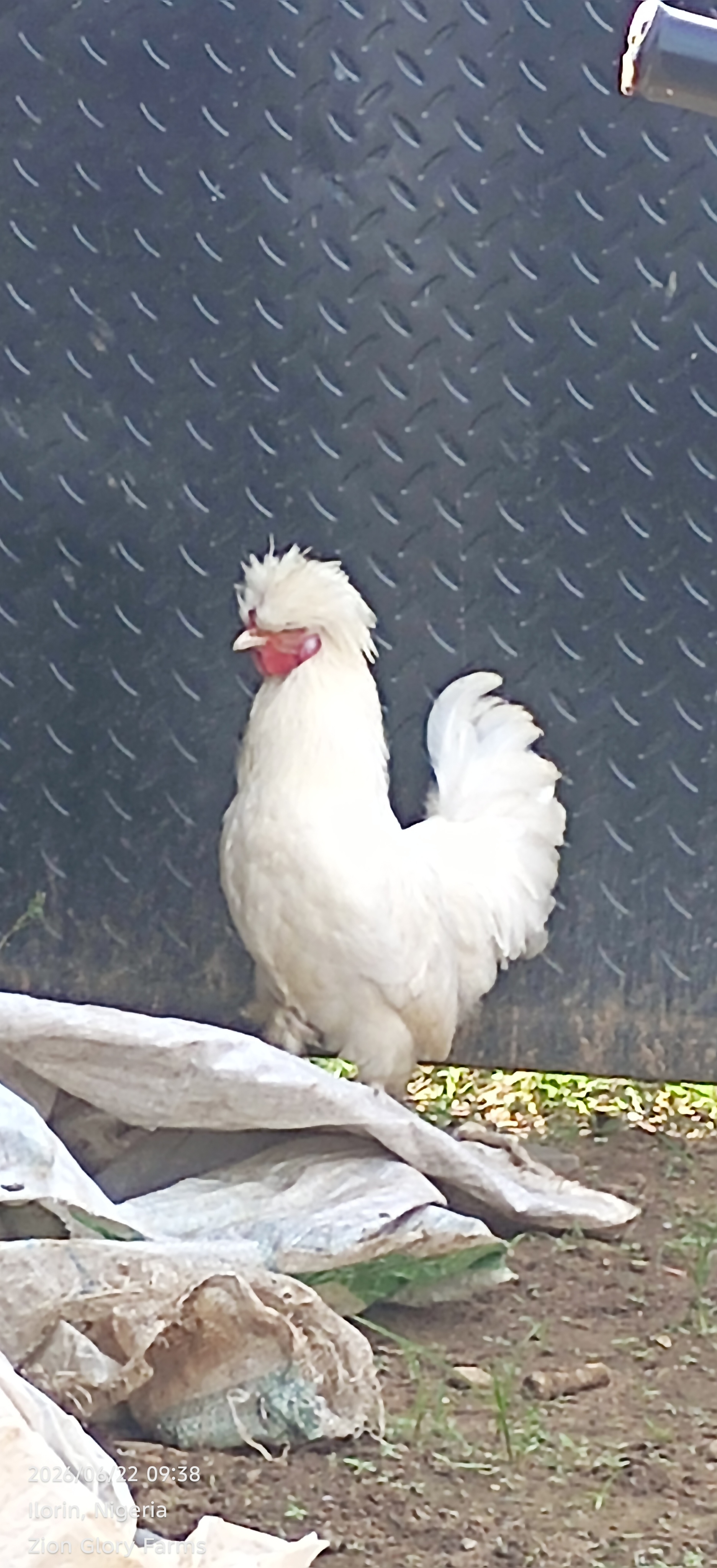 112803