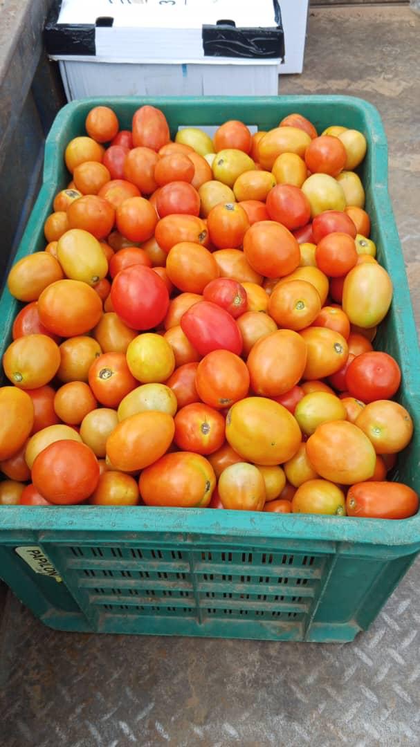 Tomatoes
